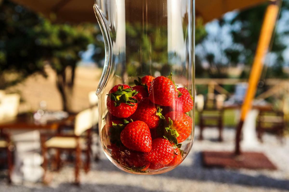 Bed and Breakfast Il Montelletto Санта-Луче Екстер'єр фото